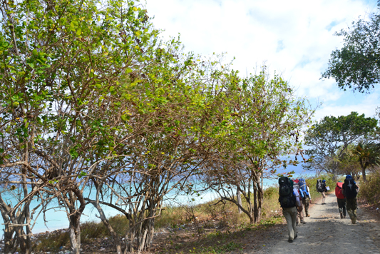 ekspedisi bali barat