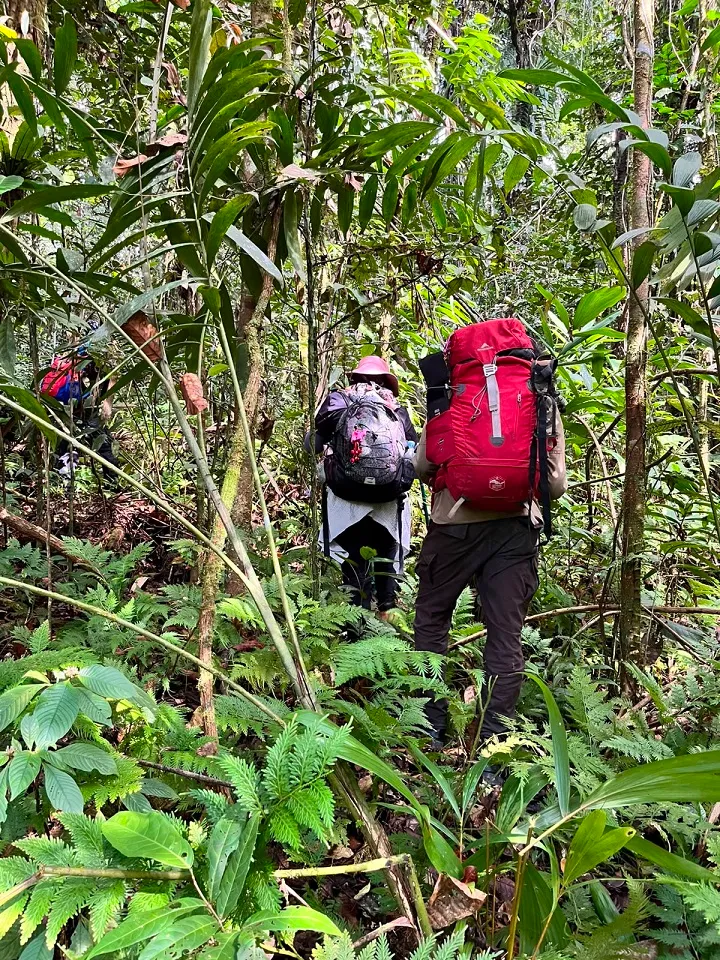 makmakerbo specimen tim biak 2026 expedition biodiscovery Mahatva